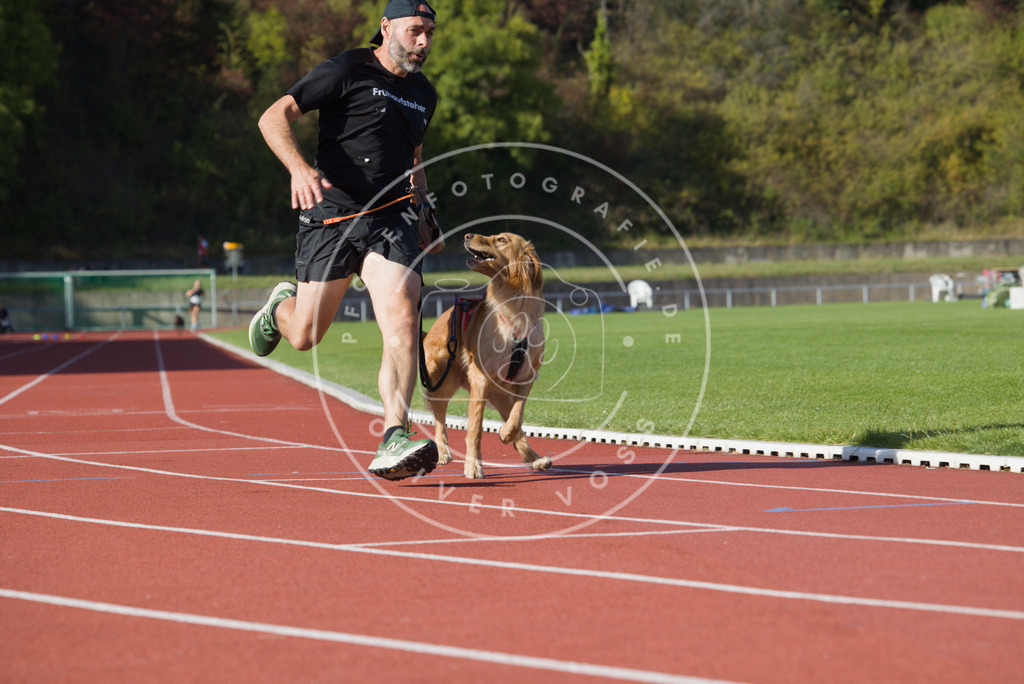 0L8A9824 | Hundefotografie, Tierfotograf, Pfotenfotografie, Fotoshooting Hund, Hunde Portrait, Hundesport, Hundeportraits, Heideshooting, Hunde, Sportfotograf, Hundefotograf, Turnierhundsport, THS,  - Realisiert mit Pictrs.com
