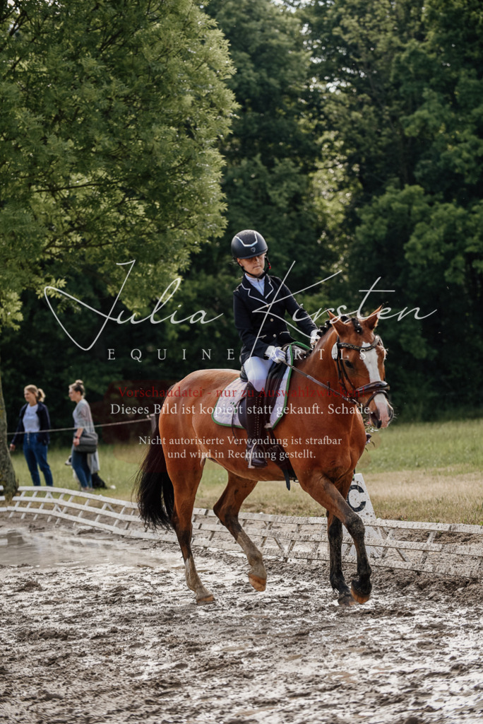 DSC_9122 | Pferde- und Turnierfotografie in Westsachsen. Pferdeportraits, Auftragszeichnungen und intuitive Kunst.