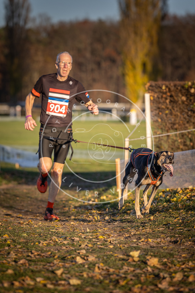CaniXpix_DV3A4690 | Hundefotografie, Tierfotograf, Pfotenfotografie, Fotoshooting Hund, Hunde Portrait, Hundesport, Hundeportraits, Heideshooting, Hunde, Sportfotograf, Hundefotograf, Turnierhundsport, THS,  - Realisiert mit Pictrs.com