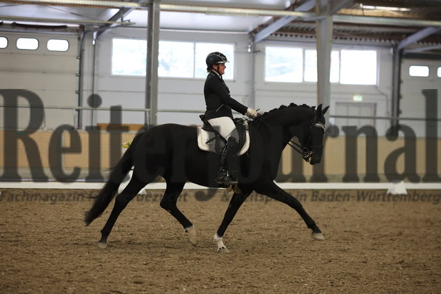 Waghäusel-Wiesental_2024_Prfg.Nr.08_1.WP_U25_Sandrine Lieb_Dark Diamond 75 (8) | Alle Fotos der Reiterjournal Fotografin Doris Matthaes im Reiterjournal Online-Fotoshop. - Realisiert mit Pictrs.com