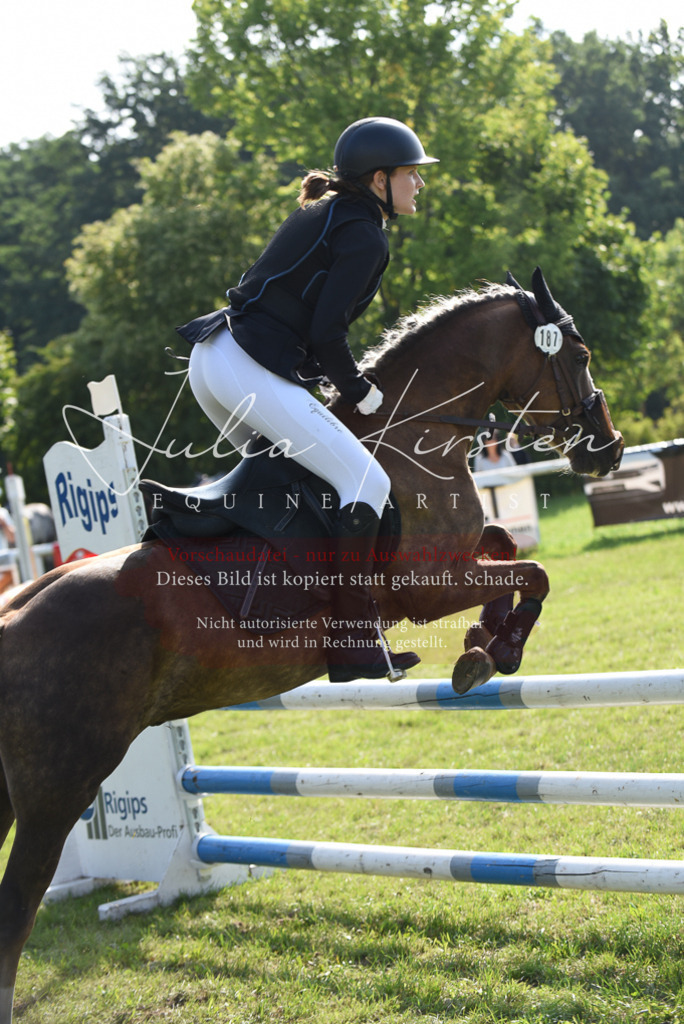 DSC_8948 | Pferde- und Turnierfotografie in Westsachsen. Pferdeportraits, Auftragszeichnungen und intuitive Kunst.
