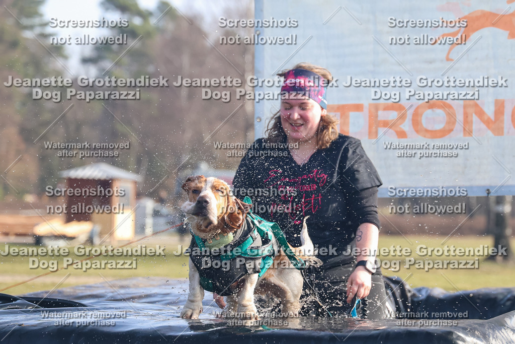 Dog Paparazzi - Strongdog North Mrz26-721 | Dog Paparazzi Jeanette Grottendiek Fotografie & Videografie - Realisiert mit Pictrs.com