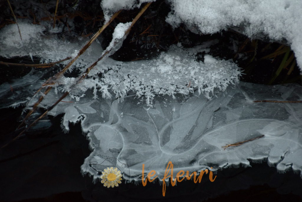 DSC_0028_b | Dies ist der Shop von Florian Blum - le fleuri. Langenthal, Bern, Schweiz. Sie können hier meine oder ihre eigenen Fotos als Fotoprodukte kaufen. Tassen, Schlüsselanhänger, Taschen etc. können Sie hier gestalten.  - Realisiert mit Pictrs.com