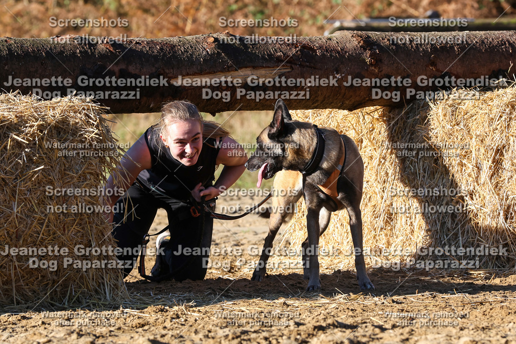 Dog Paparazzi - Strongdog 10-25-1787 | Dog Paparazzi Jeanette Grottendiek Fotografie & Videografie - Realisiert mit Pictrs.com