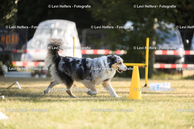 _DSC5280 | levihelfersfotografie