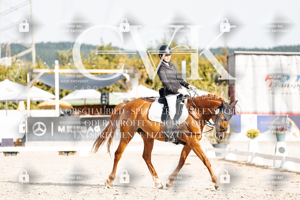 CK904516 | Turnierfotografie Pferdefotografie Trier Rheinland-Pfalz Pferdesport Reitsport Tierfotografie Sportfotografie Pferdevideo Pferdevideografie Equestrianvideography equestrianphotography  - Realisiert mit Pictrs.com