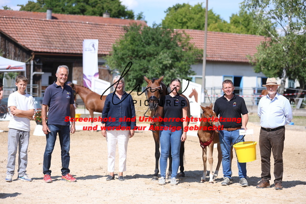 Fohlenschau_Schwäbisch_Hall_Ponys_SIEGERFOHLEN_KN 42_3 | lmwpictures - Realisiert mit Pictrs.com