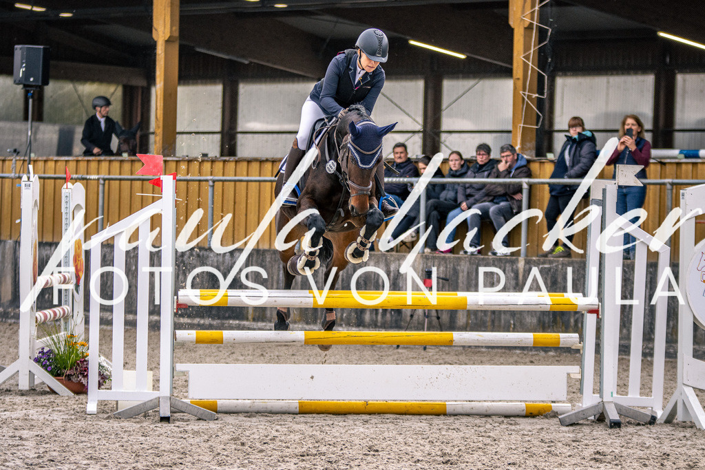 IMG_5183 | Erleben Sie dynamische Sport- und emotionale Tierfotografie in Süddeutschland mit Fotos von Paula. Spezialisiert auf Pferde- und Hundefotografie sowie Sportevents. Kontaktieren Sie mich für einzigartige und ausdrucksstarke Bilder Ihrer besonderen Momente. - Realisiert mit Pictrs.com