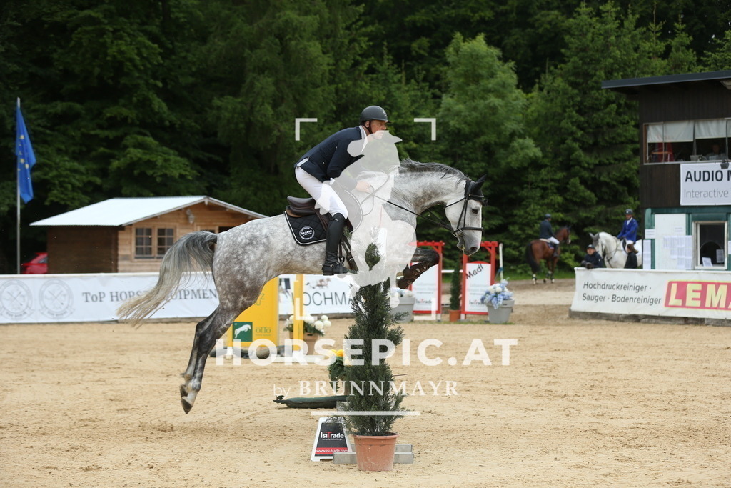 DL2Q3272 | Willkommen bei Brunnmayr - Design & Fotografie – Ihrem Spezialisten für Reitturniere und Pferdeveranstaltungen in Oberösterreich, Salzburg und Bayern! Seit über 17 Jahren sind wir leidenschaftlich dabei.