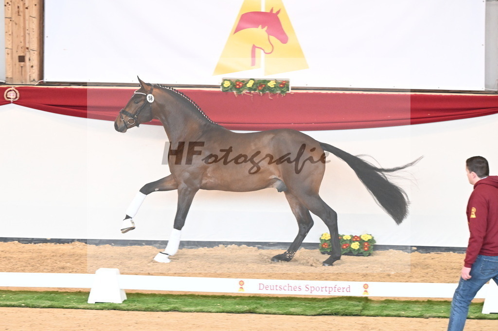 Kat.-Nr. 58 v. Monte Carlo TC_Fischer_2240852 | hf-fotografie - Realizzato con Pictrs.com