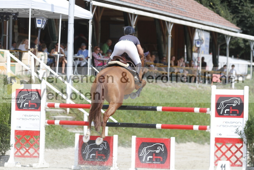 _MG_5377 | equestrian-live-com