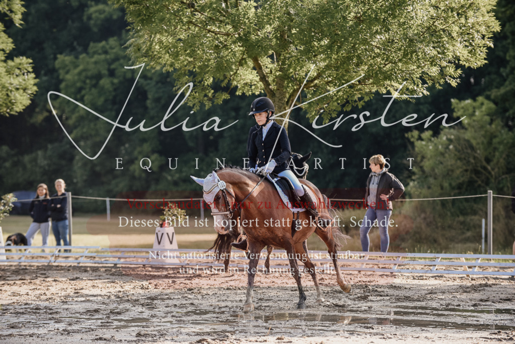 DSC_7826 | Pferde- und Turnierfotografie in Westsachsen. Pferdeportraits, Auftragszeichnungen und intuitive Kunst.