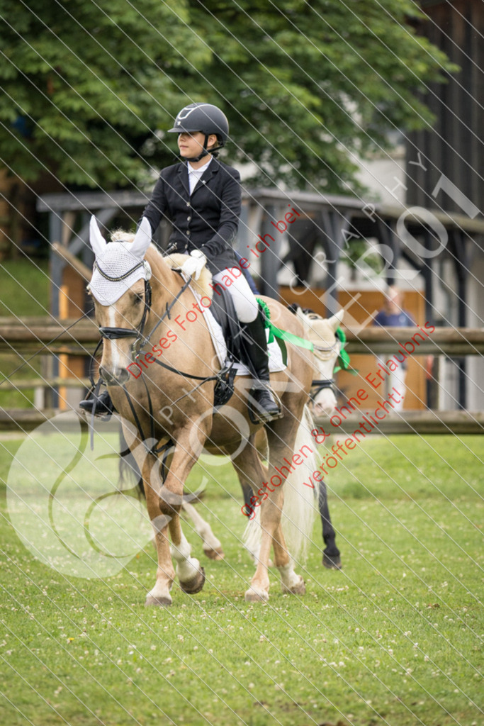IMG_1978 | Sport-, Event- und Tierfotos in Profiqualität. Einfach auswählen, bestellen und herunterladen. Dein Moment – perfekt festgehalten.