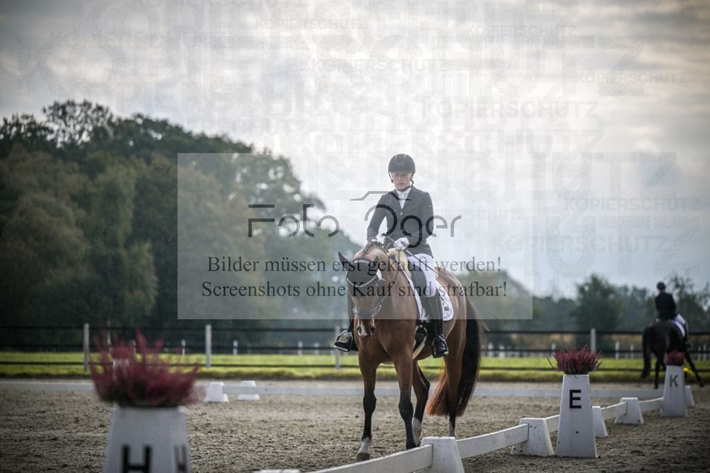 DOS_B206 | Entdecke hochwertige Reitturnierfotos von Foto Oger. Professionell, emotional und authentisch – jetzt Lieblingsmomente im Shop bestellen.Deutschlandweite Turnierfotografie. - Realisiert mit Pictrs.com
