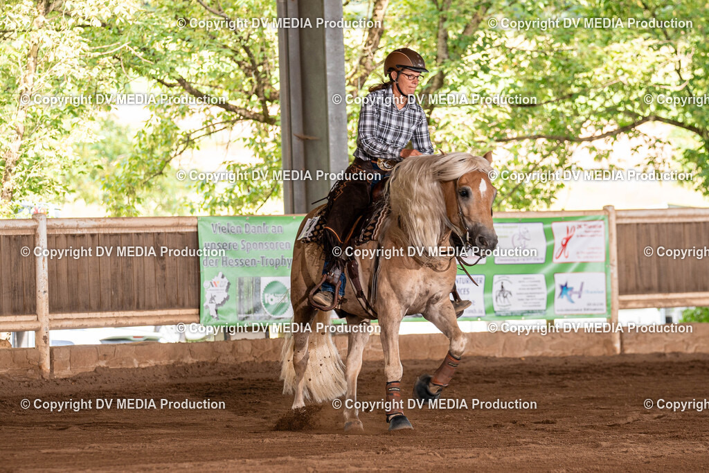 Erbach Tag 3-1352 | dv-media-shop - Realisiert mit Pictrs.com