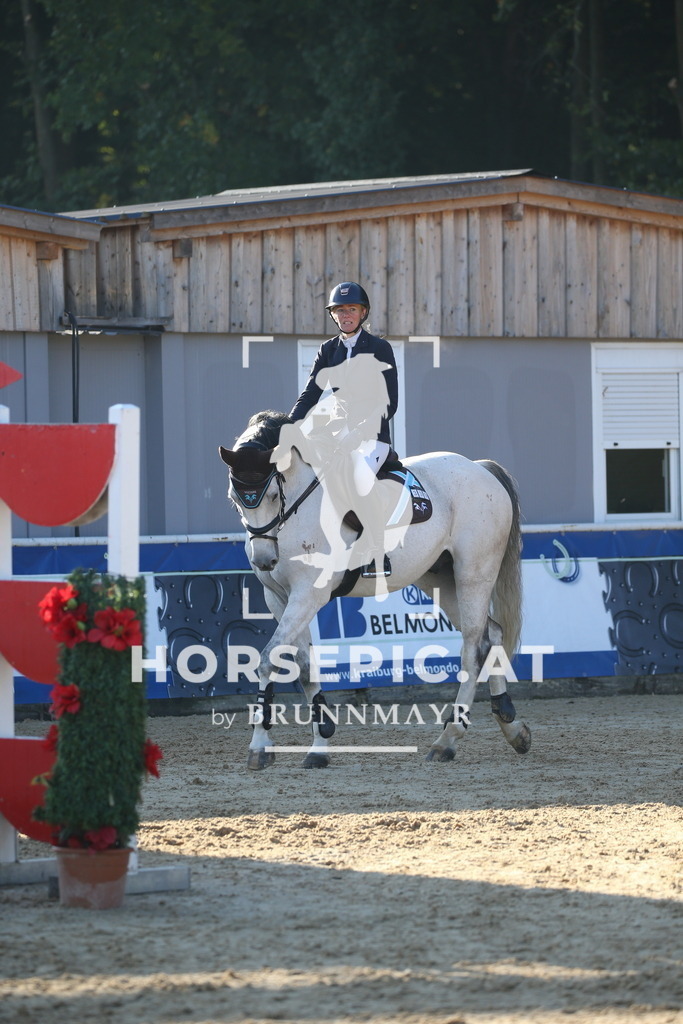 DL2Q0894 | Willkommen bei Brunnmayr - Design & Fotografie – Ihrem Spezialisten für Reitturniere und Pferdeveranstaltungen in Oberösterreich, Salzburg und Bayern! Seit über 17 Jahren sind wir leidenschaftlich dabei.