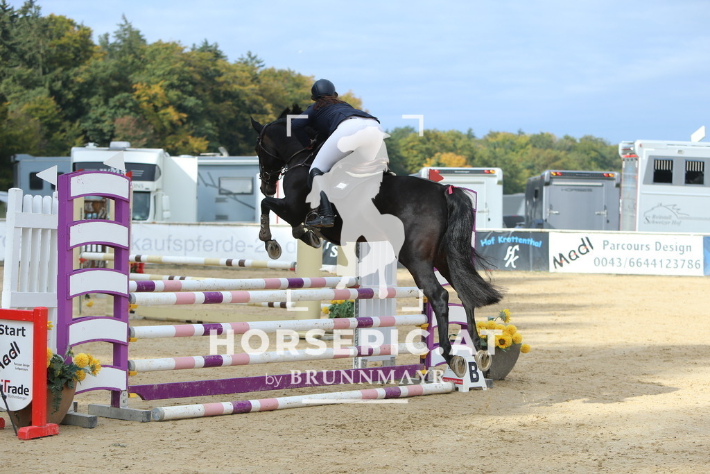 DL2Q4592 | Willkommen bei Brunnmayr - Design & Fotografie – Ihrem Spezialisten für Reitturniere und Pferdeveranstaltungen in Oberösterreich, Salzburg und Bayern! Seit über 17 Jahren sind wir leidenschaftlich dabei.