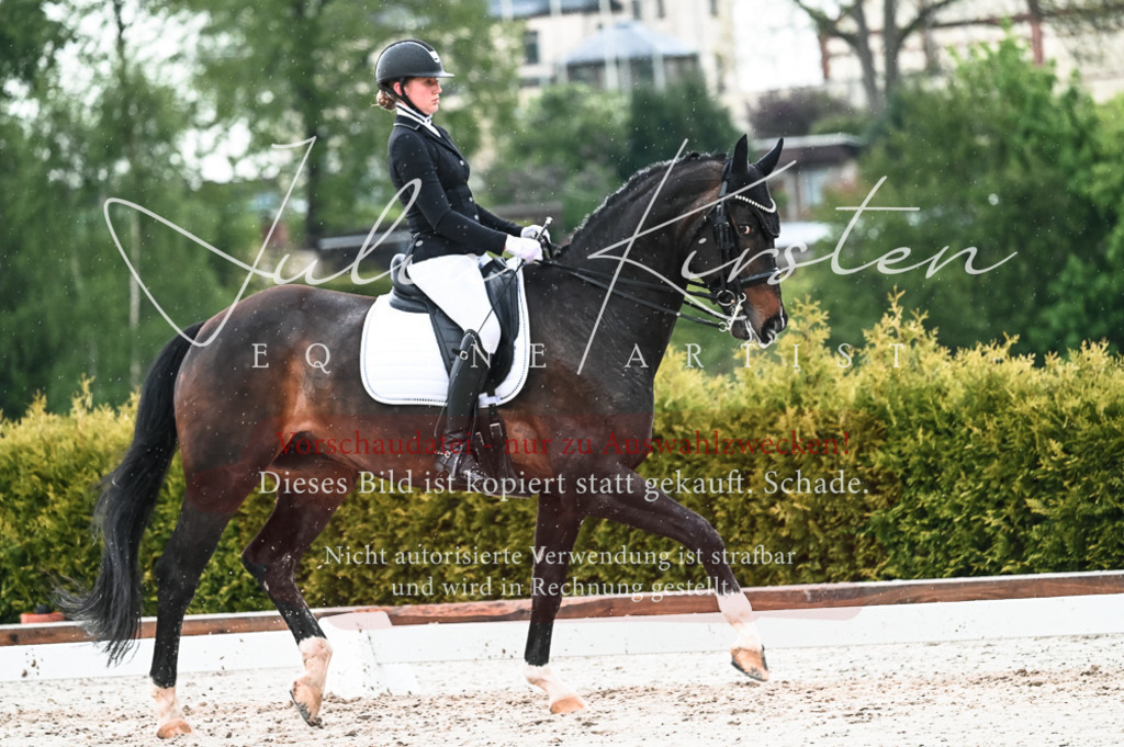 DSC_4347 | Pferde- und Turnierfotografie in Westsachsen. Pferdeportraits, Auftragszeichnungen und intuitive Kunst.