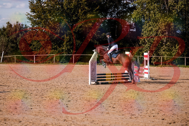2026_10_03_Siefer-Hof_154110_Z81_57349800 | Professionelle Reitsport-, Turnier- und Eventfotografie von Robert Broda. Galerien mit ausgewählten und bearbeiteten Bildern direkt online ansehen und bestellen.
