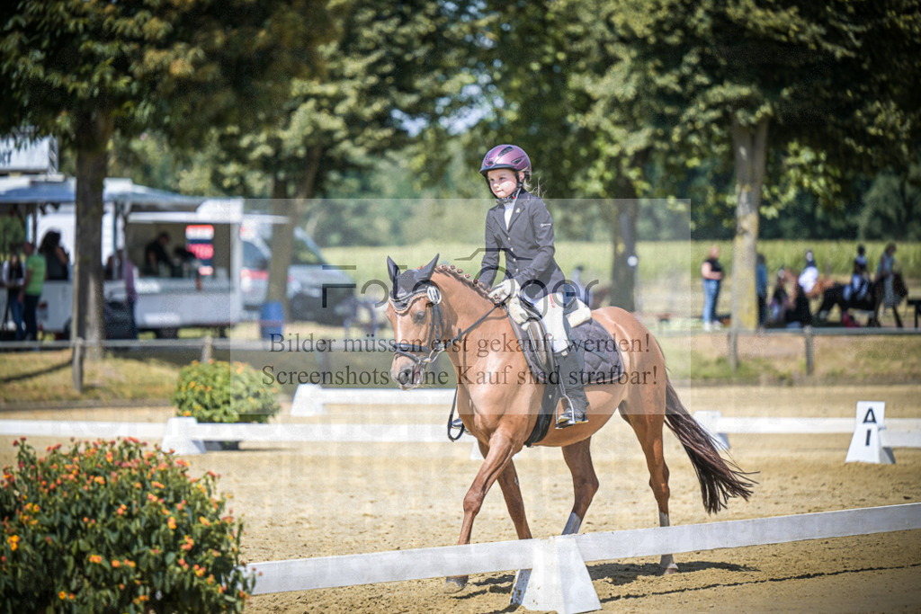 DOS_6493 | Entdecke hochwertige Reitturnierfotos von Foto Oger. Professionell, emotional und authentisch – jetzt Lieblingsmomente im Shop bestellen.Deutschlandweite Turnierfotografie. - Realisiert mit Pictrs.com