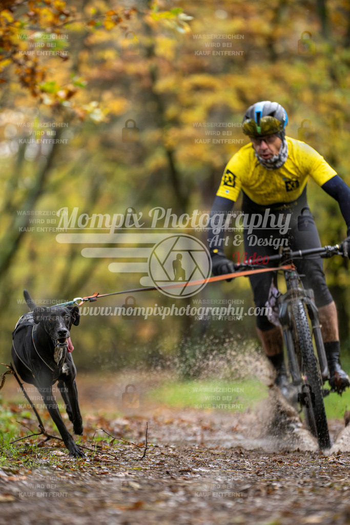 MompixPhotography_Bischwiller23_Bike-4 | PayLife