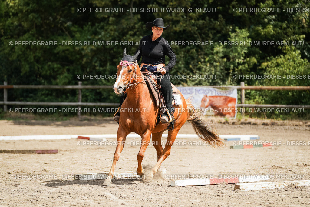 DSC06061 | Pferdegrafie