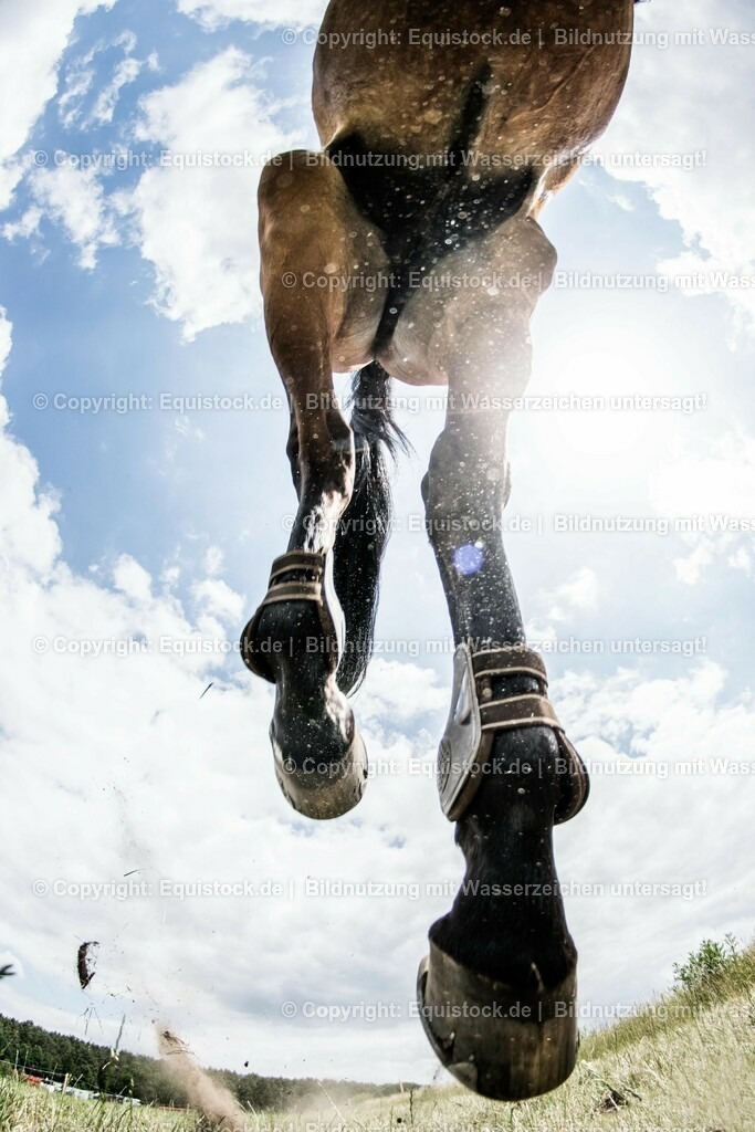 TS_20180615_Grand_Prix_IWEST_0002 | equistock