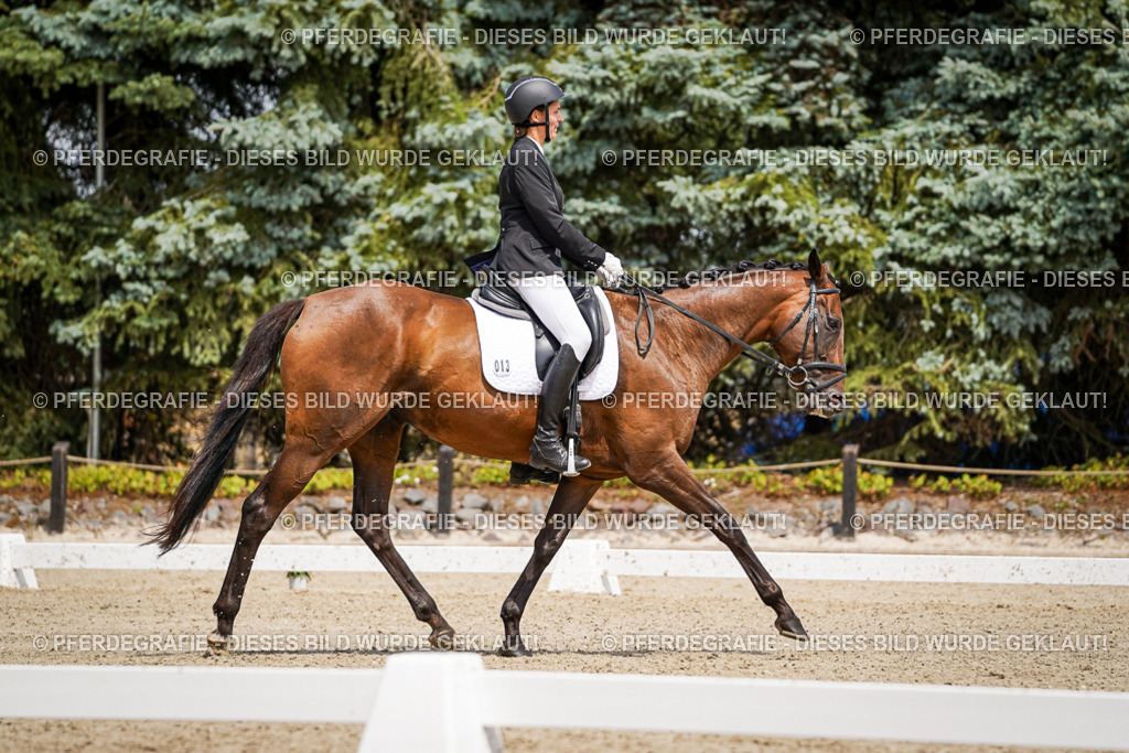 DSC02095 | Pferdegrafie