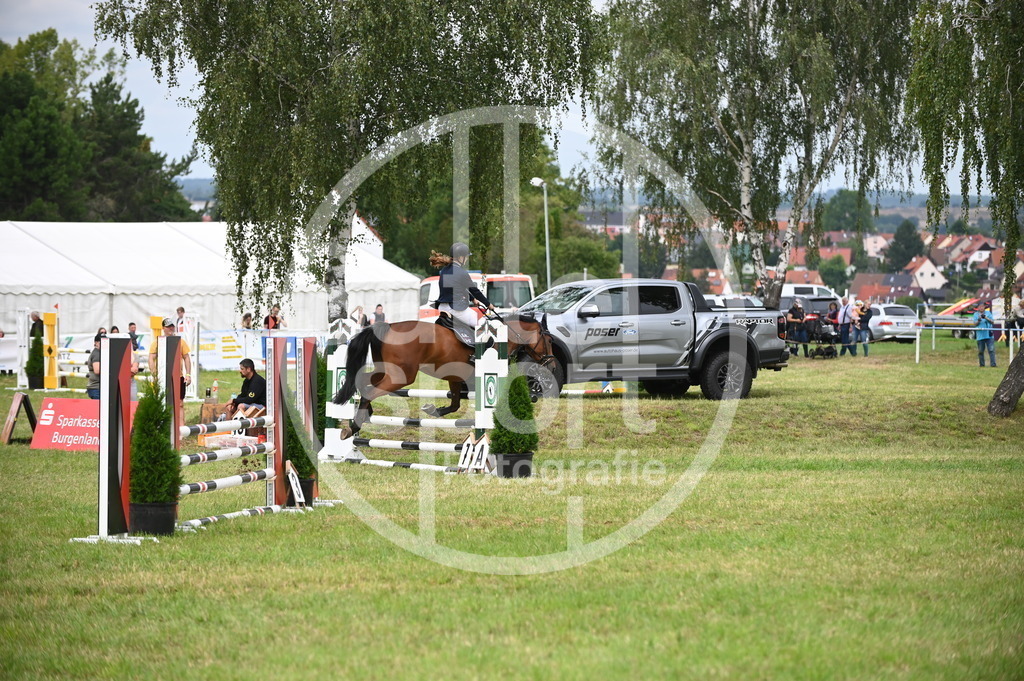 DSC_1775 | sattelsport - Realisiert mit Pictrs.com