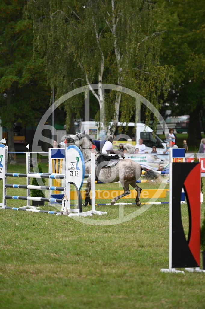 DSC_2255 | sattelsport - Realisiert mit Pictrs.com