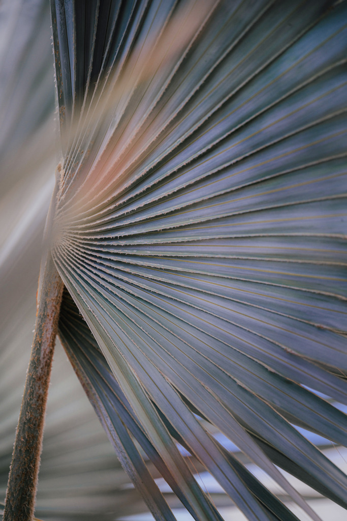 Teneriffa_by Leevke Draack_1 | Du suchst natürliche und atmosphärische Prints oder Leinwanddrucke? In diesem Shop gibt es alles, nur kein Mainstream. - Realisiert mit Pictrs.com