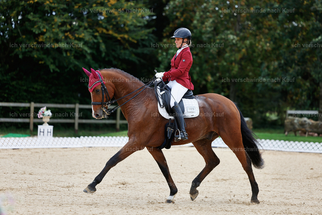 04_1-149-Dressur M__ -StoibPH-StoibPH-2620 | working equitationturnier fotograf videograf stoibphotography marixx film working equitation deutschland reitsport turnierfotografie eventfotografie equestrian events