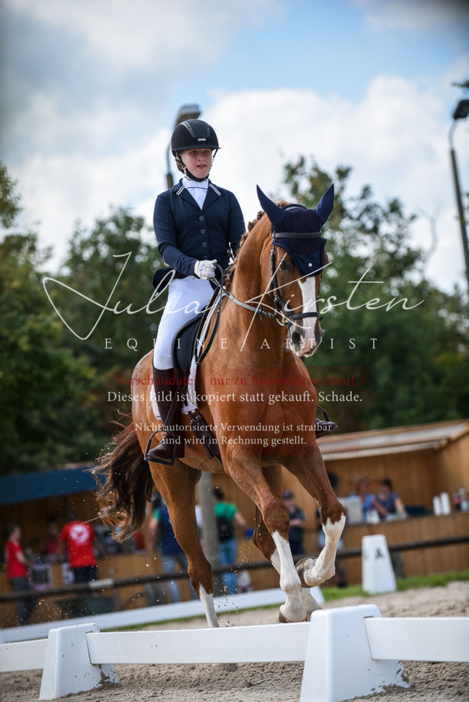 DSC_9385 | Pferde- und Turnierfotografie in Westsachsen. Pferdeportraits, Auftragszeichnungen und intuitive Kunst.