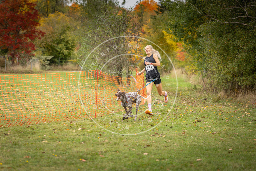 Pfotenfotografie_DV3A4471 | Hundefotografie, Tierfotograf, Pfotenfotografie, Fotoshooting Hund, Hunde Portrait, Hundesport, Hundeportraits, Heideshooting, Hunde, Sportfotograf, Hundefotograf, Turnierhundsport, THS,  - Realisiert mit Pictrs.com