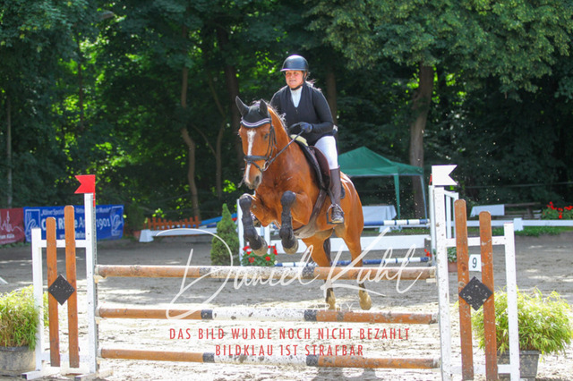 DKP45102 | Turniersportfotografie; Pferdefotografie; Dressurfotografie