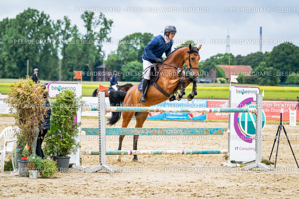 DSC04286 | Pferdegrafie