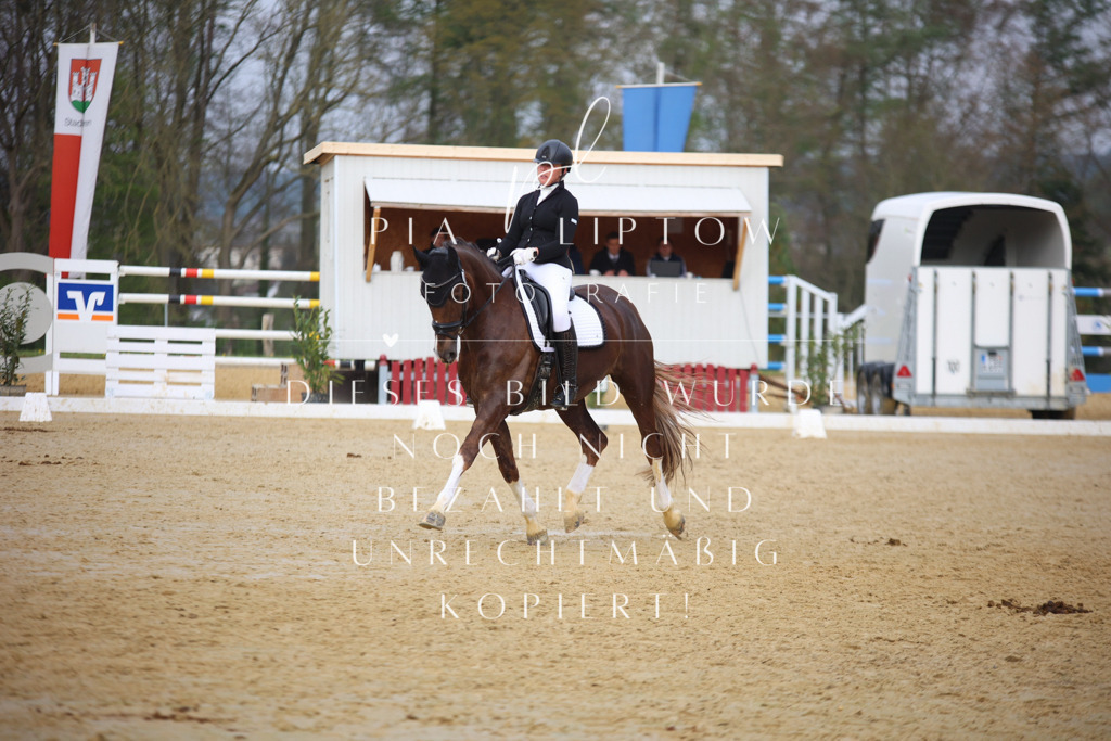 IMGT7783 | pl-fotografie