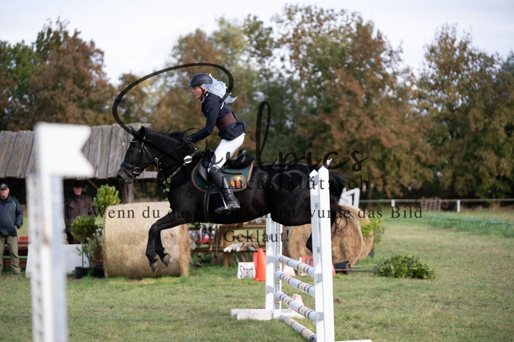 A7V06583 | Pferdefotograf