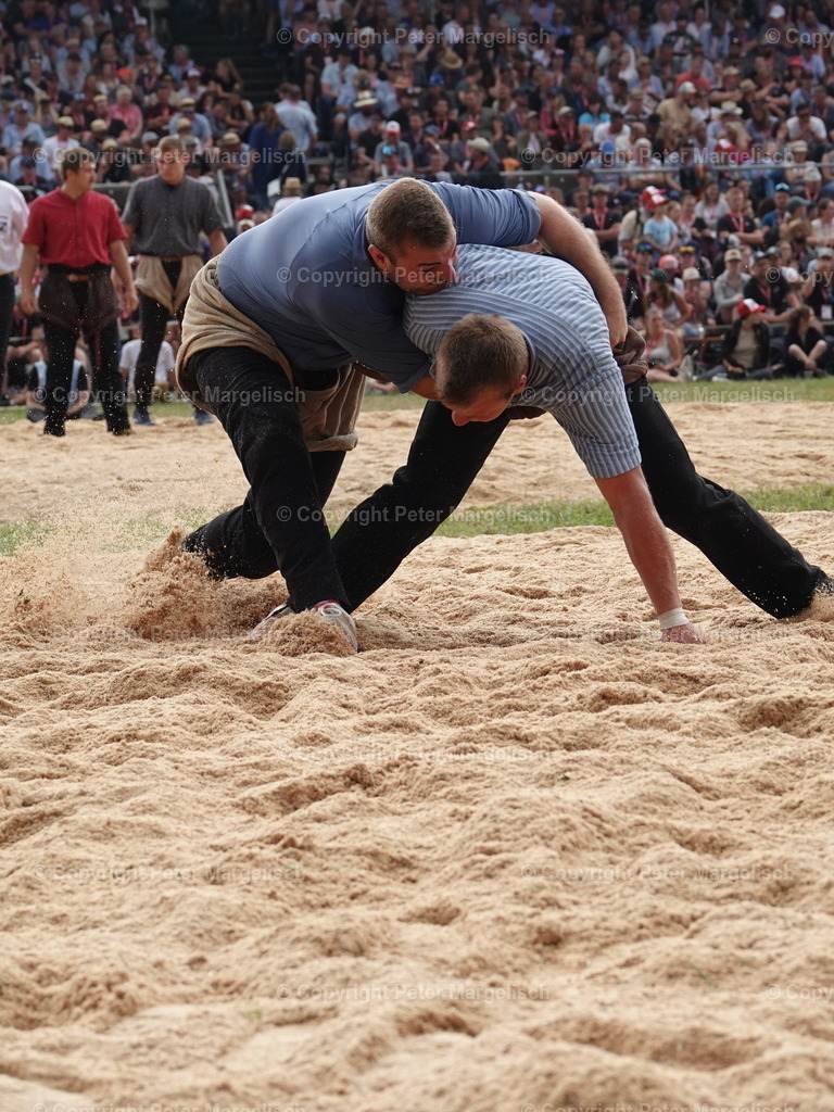 DSC05056 | Schwingen - Realisiert mit Pictrs.com