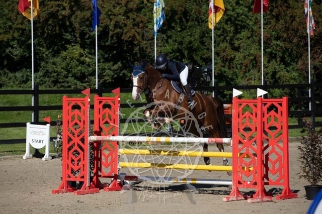 2B4A0420 | pixelfaenger - Realisiert mit Pictrs.com