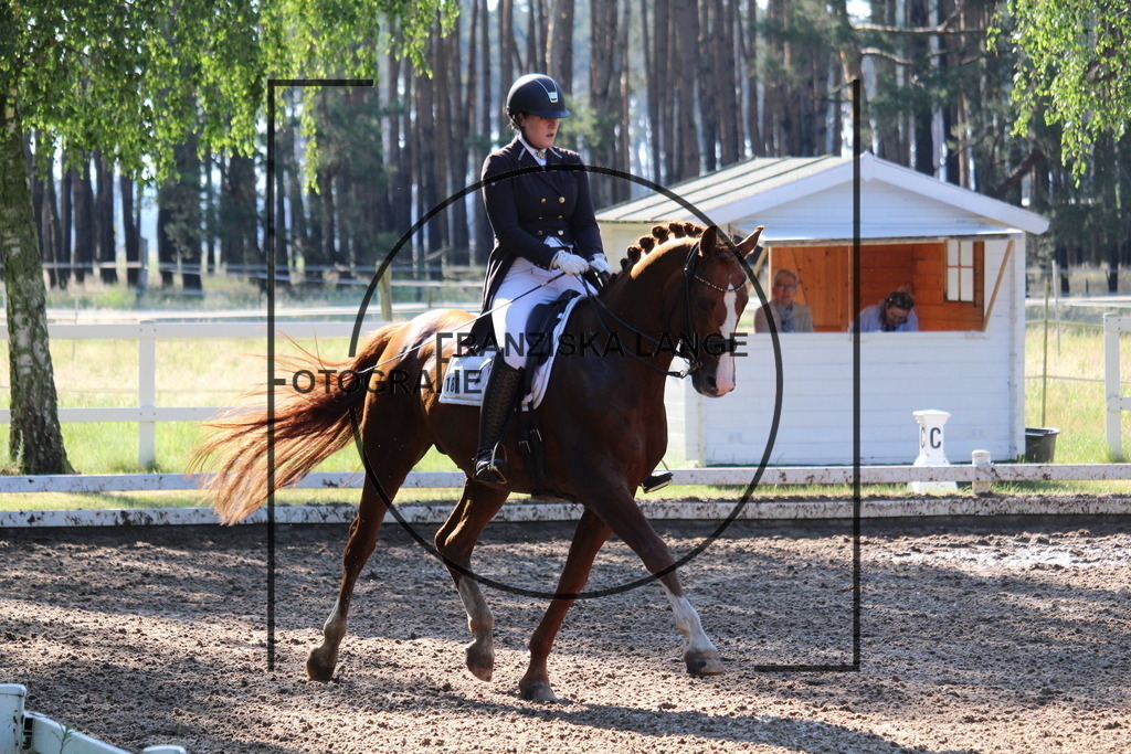 IMG_6303 | franziskalange - Realisiert mit Pictrs.com