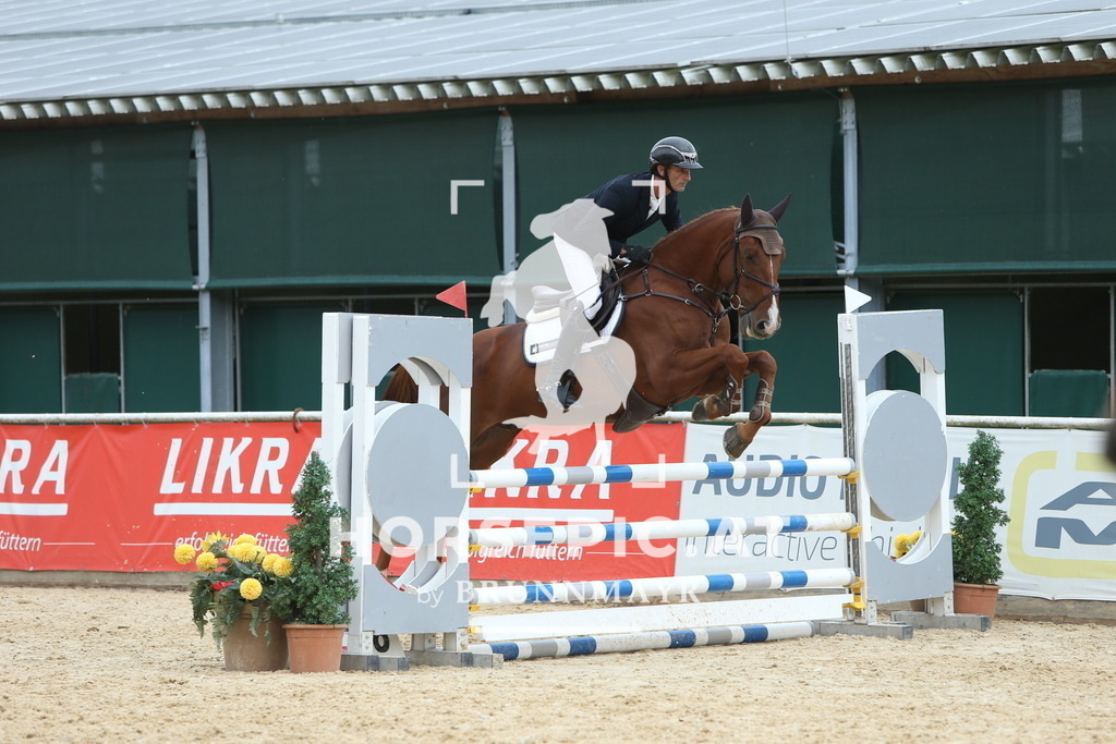 DL2Q1487 | Willkommen bei Brunnmayr - Design & Fotografie – Ihrem Spezialisten für Reitturniere und Pferdeveranstaltungen in Oberösterreich, Salzburg und Bayern! Seit über 17 Jahren sind wir leidenschaftlich dabei.