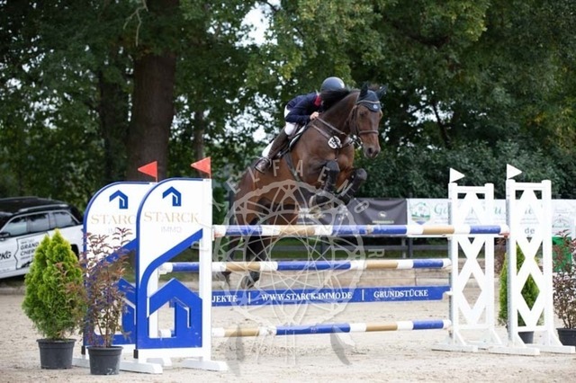 2B4A2415 | pixelfaenger - Realisiert mit Pictrs.com