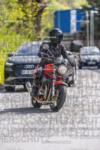 MSFotoService-174 | MSFotoService - Realisiert mit Pictrs.com