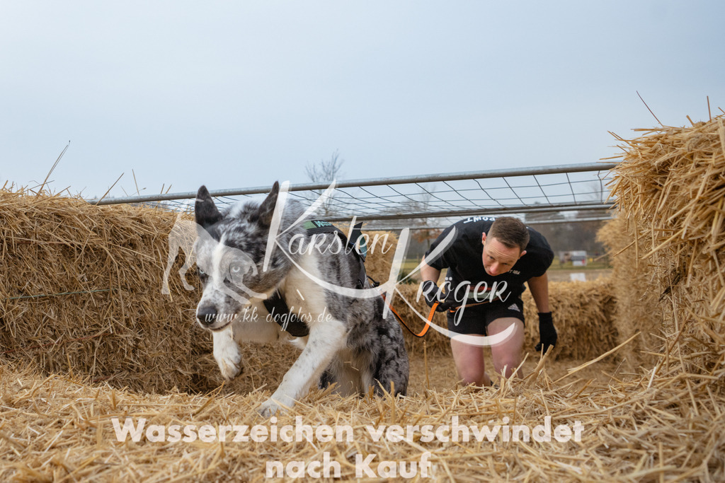 0814_ZZ92272 | kk-dogfotos