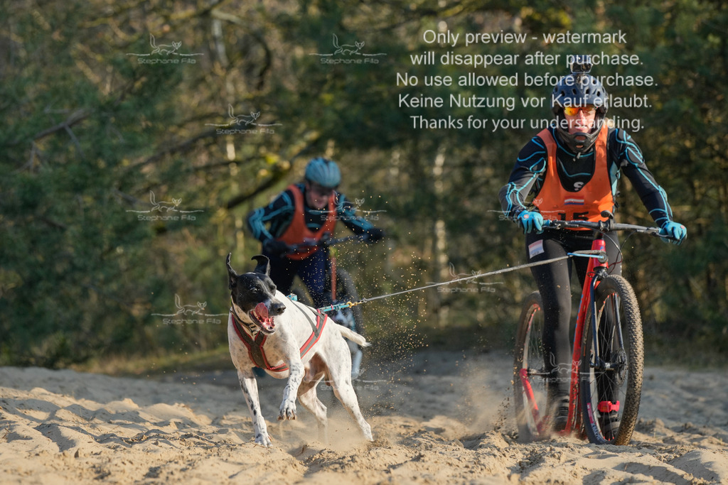 So_Scooter-84 | stephaniefillaphotographie - Realisiert mit Pictrs.com