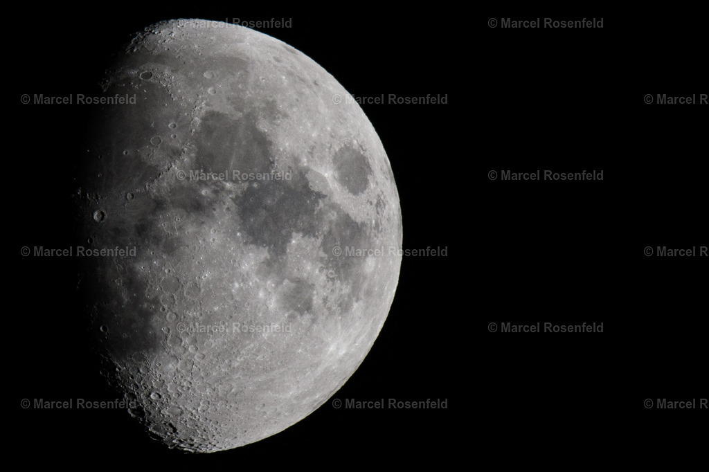 _DSC0435 | foto-rosenfeld