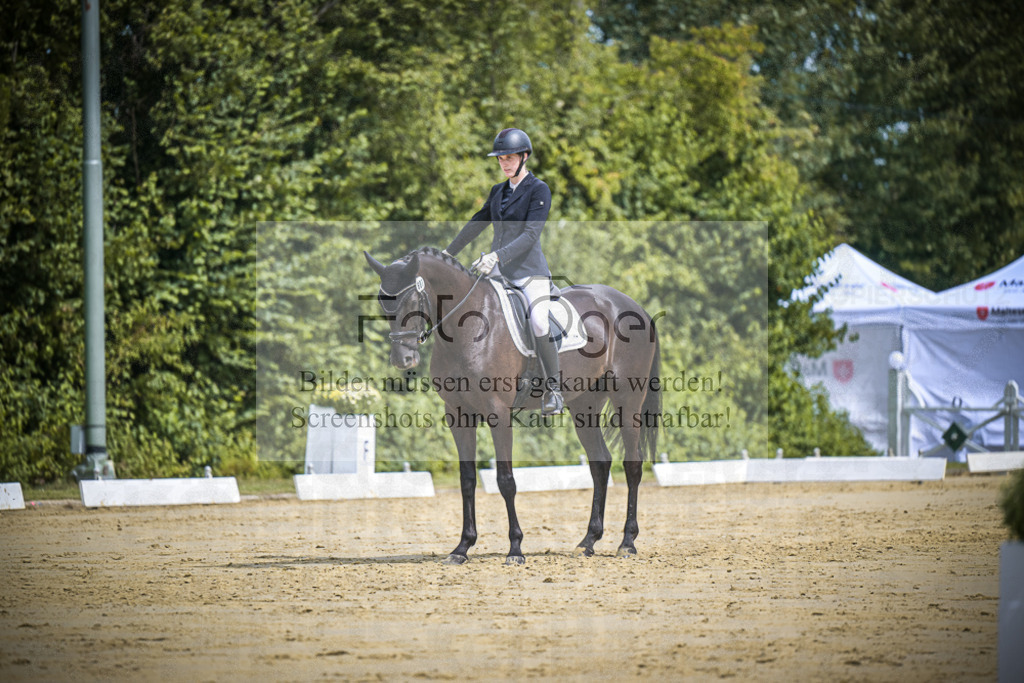DOS_1232 | Entdecke hochwertige Reitturnierfotos von Foto Oger. Professionell, emotional und authentisch – jetzt Lieblingsmomente im Shop bestellen.Deutschlandweite Turnierfotografie. - Realisiert mit Pictrs.com