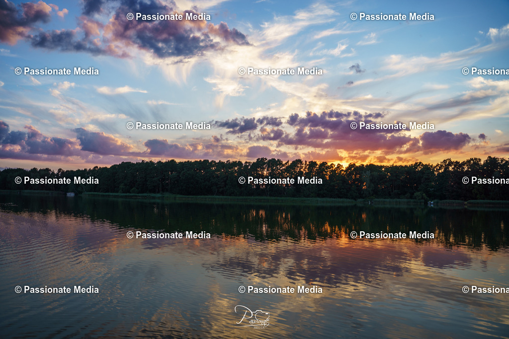 DSC09062 | Passionate Media, dein Fotograf aus Brandenburg, Märkisch Oderland, im Bereich Motorsport, Autos und Motorräder sowie Events und auch Hunde. Shootings oder auch Eventbegleitungen können bei mir gebucht we