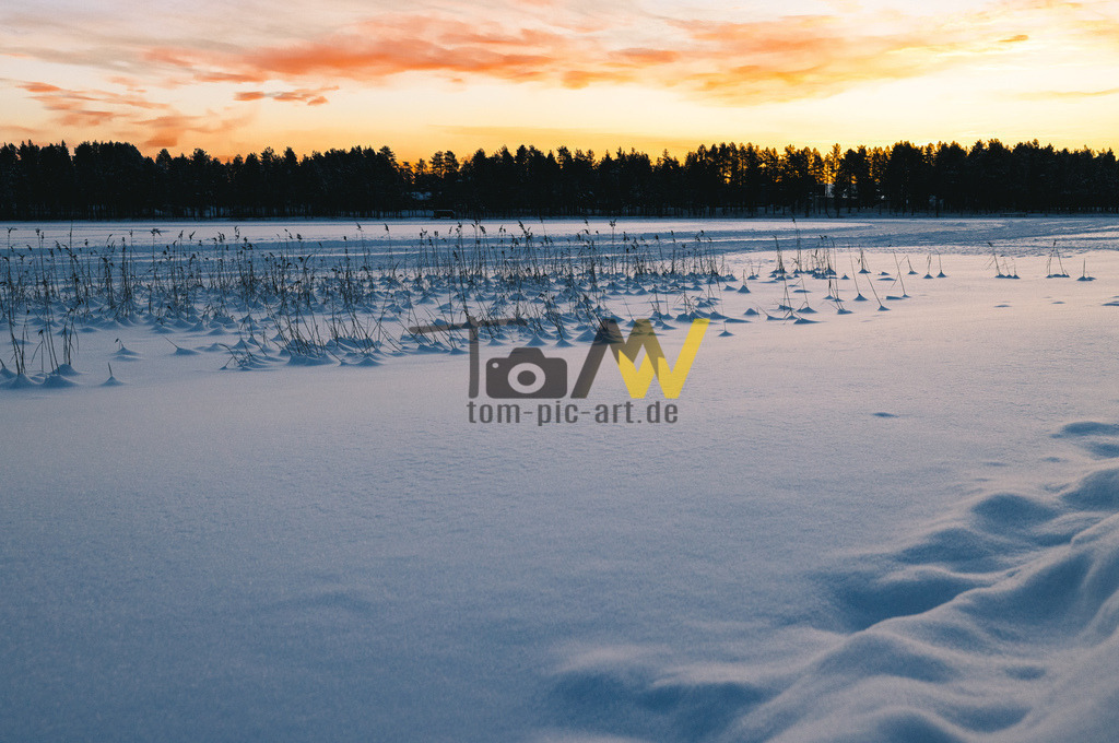 Zugefrorener See mit viel Schnee in Schweden-Winter--Kalt | Das Bild zeigt eine winterliche Landschaft bei Sonnenaufgang, wahrscheinlich in Schweden. Es ist ein stimmungsvoller Moment in der Natur. Die Szene zeigt einen zugefrorenen See oder ein Feuchtgebiet, bedeckt mit Schnee.Im Vordergrund sind schneebedeckte Pflanzenhalme und Spuren im tiefen Schnee zu sehen.Am Horizont erstreckt sich eine dunkle Waldsilhouette vor einem leuchtenden, orange-rosa gefärbten Himmel. - Realisiert mit Pictrs.com